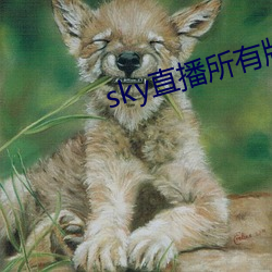 sky直播所有版本