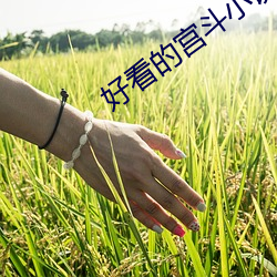 好看(kàn)的(de)宫斗小说