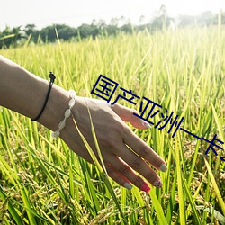 国产(産)亚洲一(一)卡(卡)2卡3卡4卡老狼(狼)