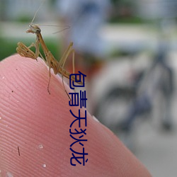 包青天狄(狄)龙