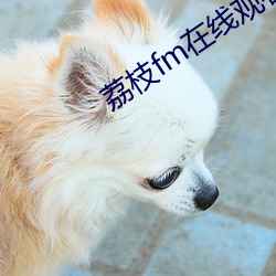 荔枝fm在线观看