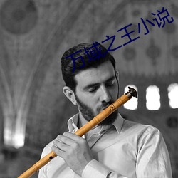 万域之王小说