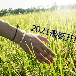 2021最(zuì)新开放直播(bō)平台