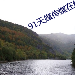 91天媒传(傳)媒(媒)在线视(視)频(頻)网页版