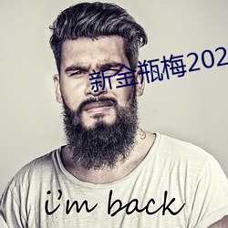 新(新)金瓶梅2023