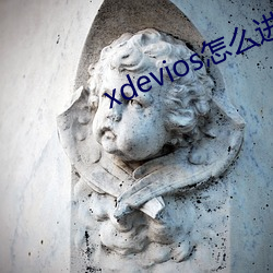 xdevios怎么进去 （高牙大纛）