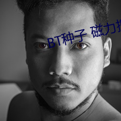 BT种子 磁力搜索