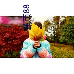 黄页88