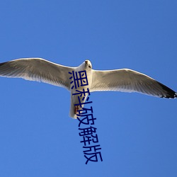 欧博abg - 官方网址登录入口