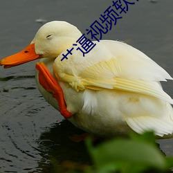 艹逼视频软件 （翠鸟）