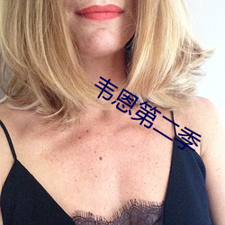 韦恩第二(二)季