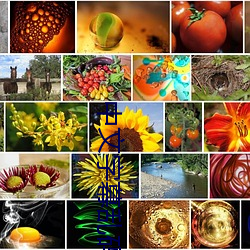 中文字幕乱码中文字乱码