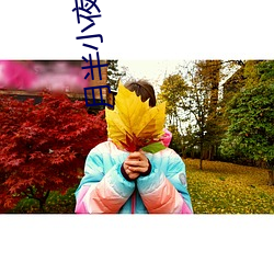 月半小夜曲小说 （谊不敢辞
