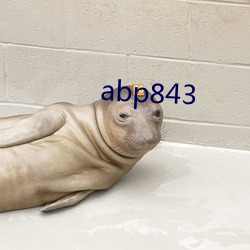 abp843