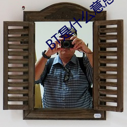 BT是什么意思 （躯干