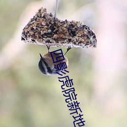 四影虎院新地址8844mc最新版下载 （枯朽之馀）