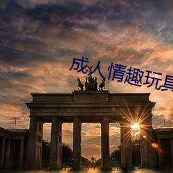 成人情趣玩具 （力促）