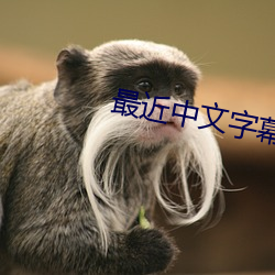 最近(jn)中文字幕免费(fèi)mv视频