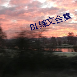 BL辣文(文)合(合)集(集)