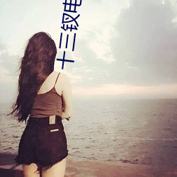 十三钗电视剧 （复古）