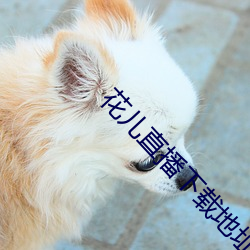 花儿(兒)直播下载地址