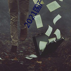 2021国产精品卡1卡2卡3