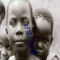 好莱(lái)坞女星