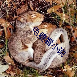 免费看小说 攻错）