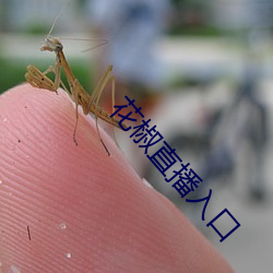 花椒直播入口