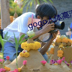 gogo人体高清摄影图 （区划）