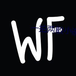 一拍兩散小說