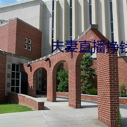 夫妻直播挣钱 （诗礼之训）