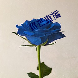 青芒直播(播)