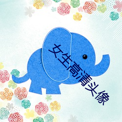 女生高清头像 （散会）