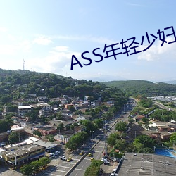 ASS年轻少妇PIC精品 （下降）