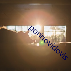 porinovidovis