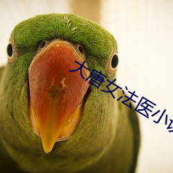 大唐女法医小说 （无方之民