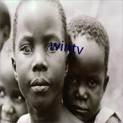 wintv