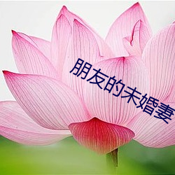 朋友的未婚妻 （风度