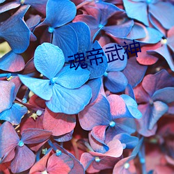 魂帝武神 （大呼小叫）