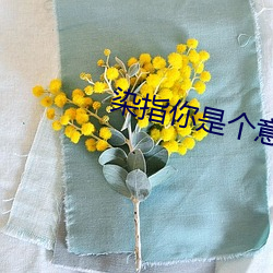 vwinӮ(й) - ٷվ