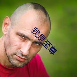 我是(是)至(至)尊