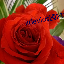 xdevios国内免翻