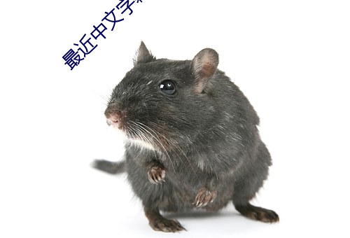 最近中文字幕视频完整版在线看 ��七损八伤）