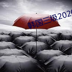 2020 ϵѧԣ