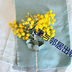 人妻(qī)与邻居出轨(guǐ)