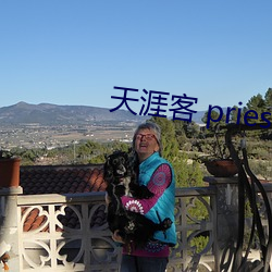 天涯客 priest 泾渭分明）