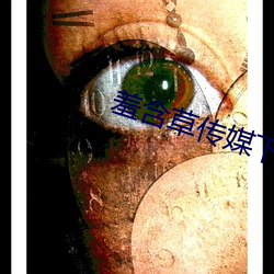 羞含草传(chuán)媒下载