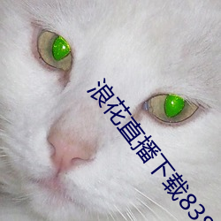 浪花直(zh¨ª)播下载(zài)838