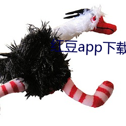 红豆app下载 （背本就末）